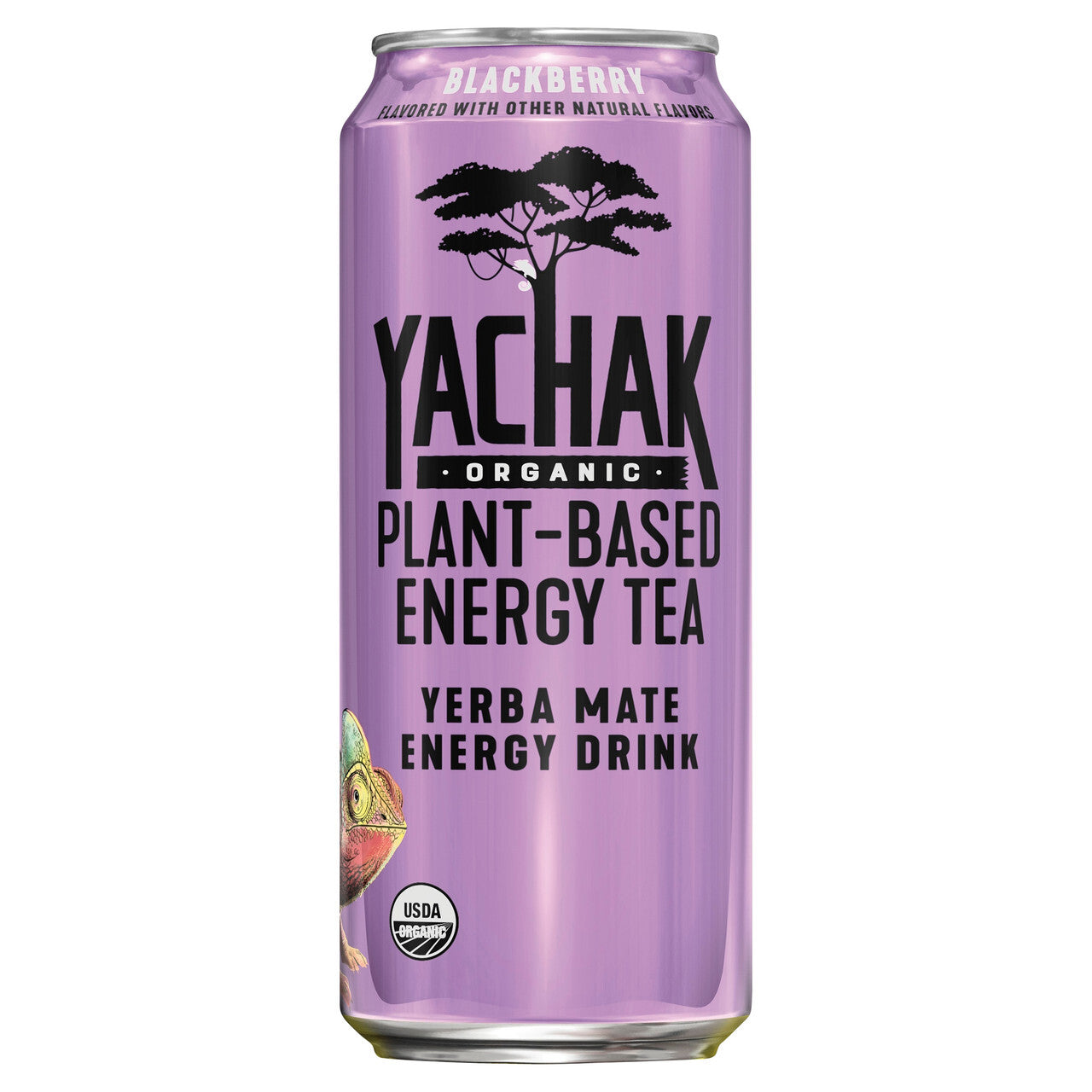 Yachak Brand Organic Blackberry Plant Based Energy Tea  (12 cans x 16 oz)